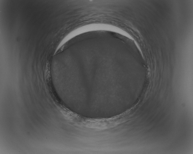 X0000082940029200702222258