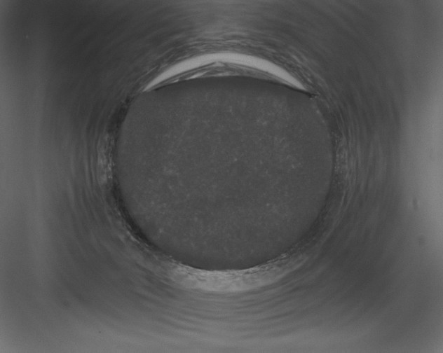 X0000082940030200702222258