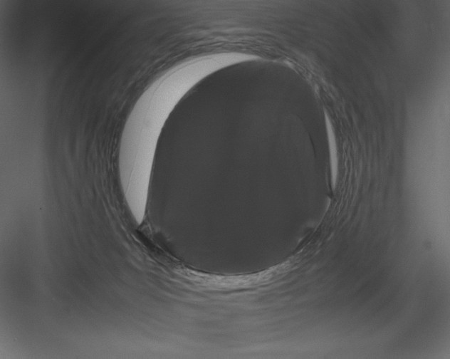 X0000082940031200702222258