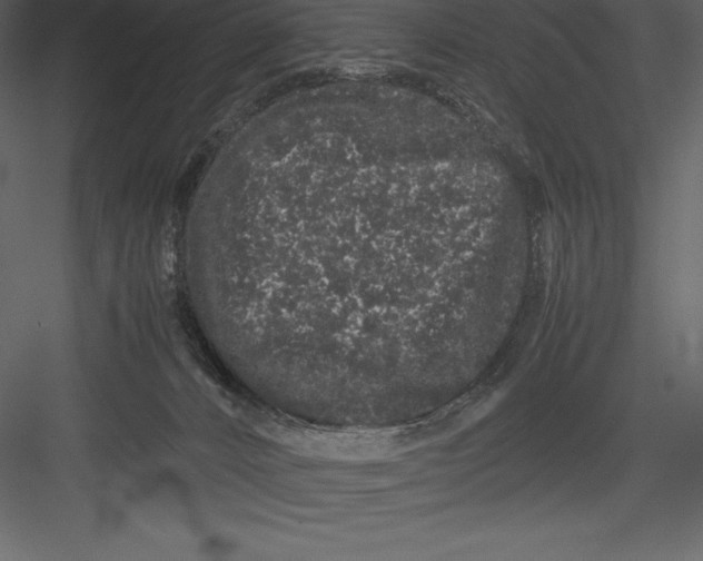 X0000082940032200702222258