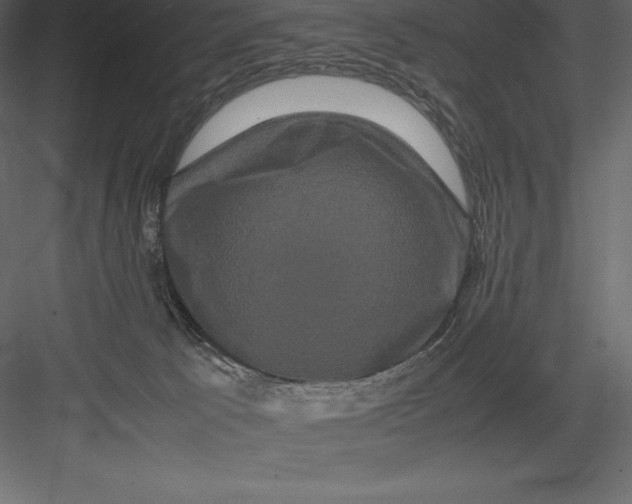 X0000082940033200702222258