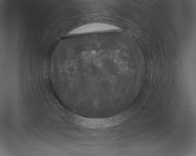 X0000082940034200702222258