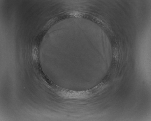 X0000082940036200702222258