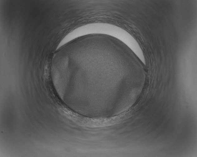 X0000082940037200702222258