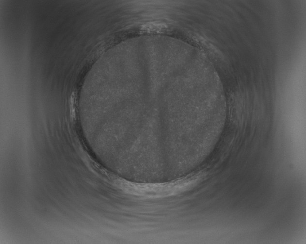 X0000082940038200702222258