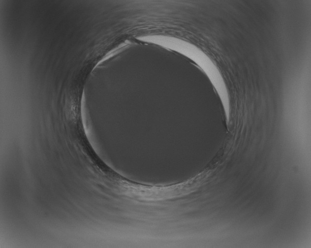 X0000082940039200702222258