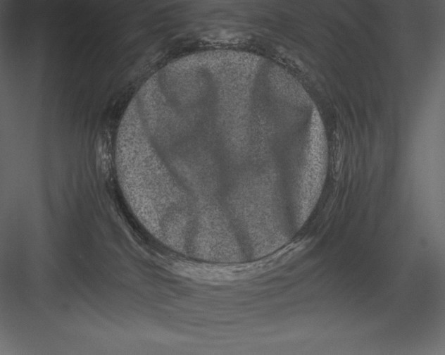 X0000082940040200702222258