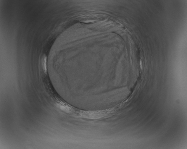 X0000082940041200702222258