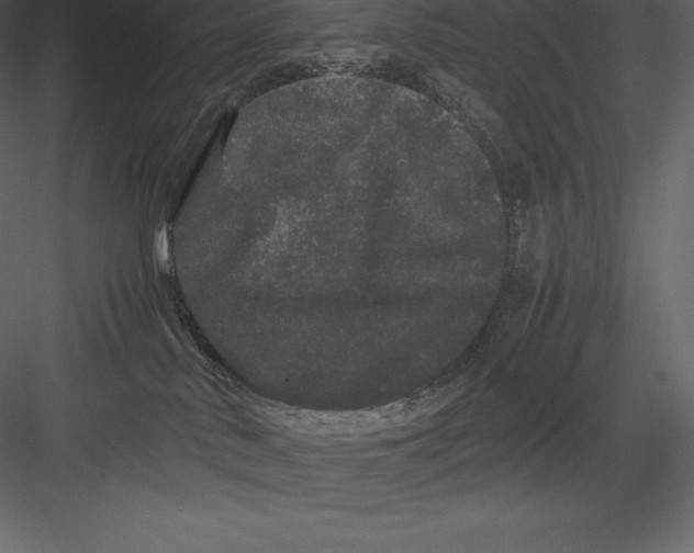 X0000082940042200702222258