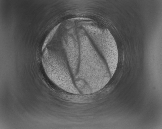 X0000082940044200702222258