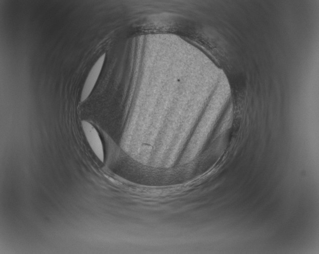 X0000082940045200702222258