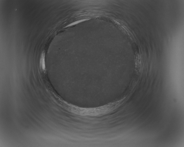 X0000082940046200702222258