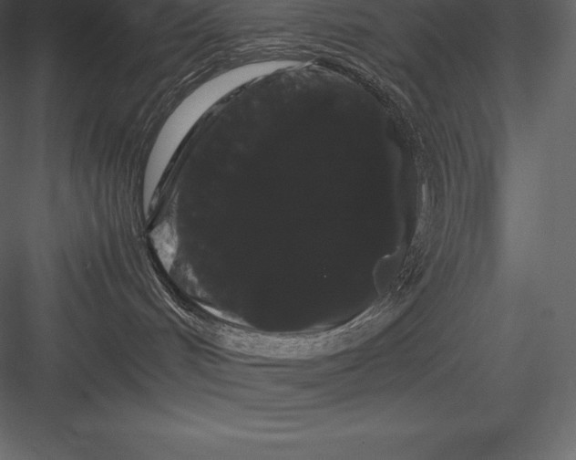 X0000082940048200702222258