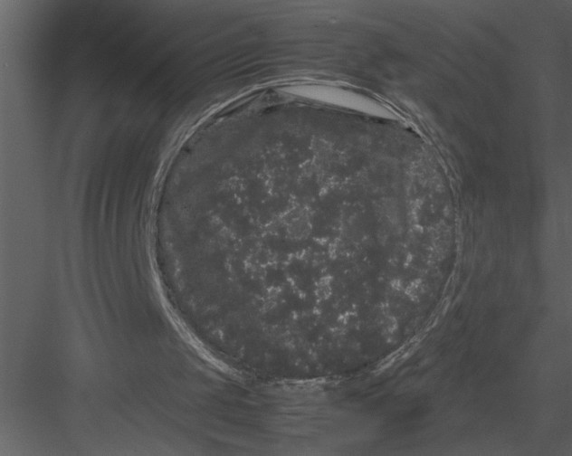 X0000082940049200702222257