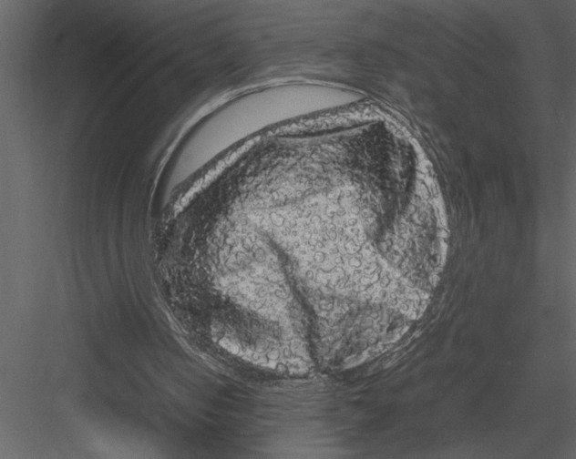 X0000082940050200702222257