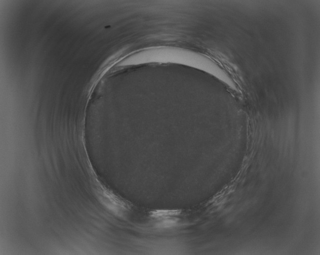 X0000082940051200702222257