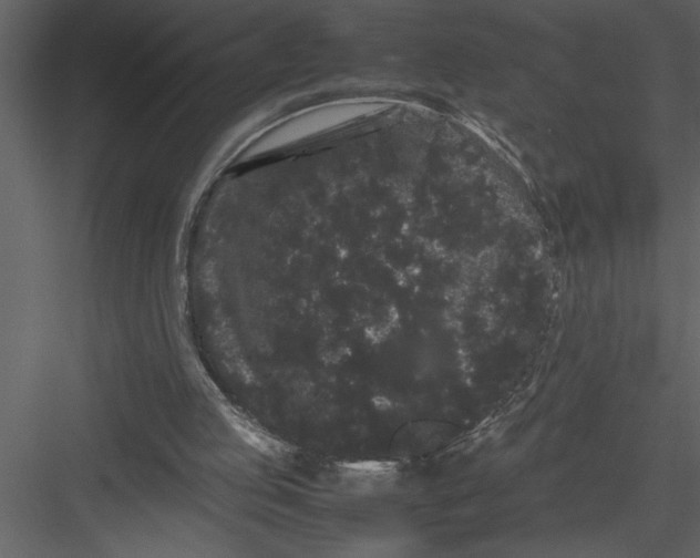 X0000082940053200702222257