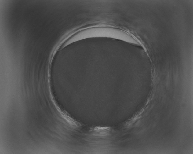 X0000082940055200702222257