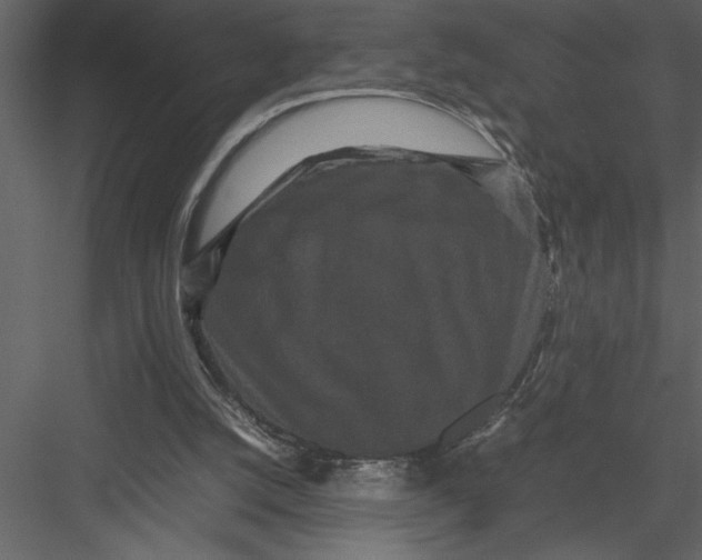 X0000082940056200702222257