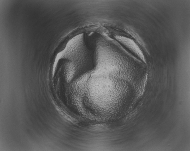 X0000082940058200702222257