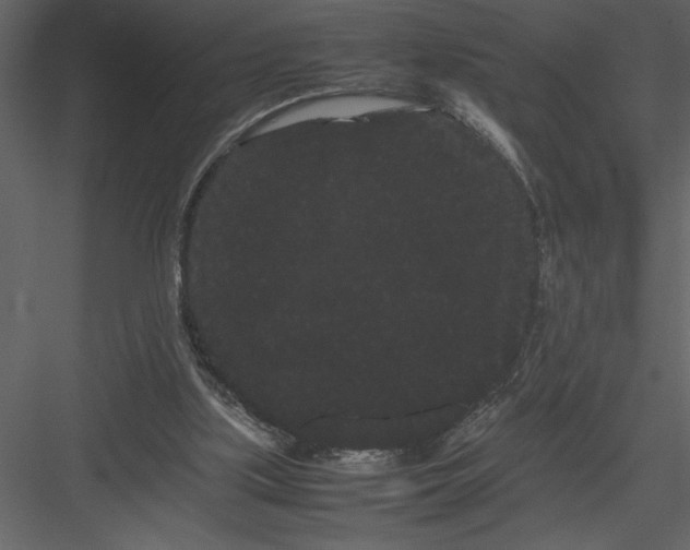 X0000082940059200702222257