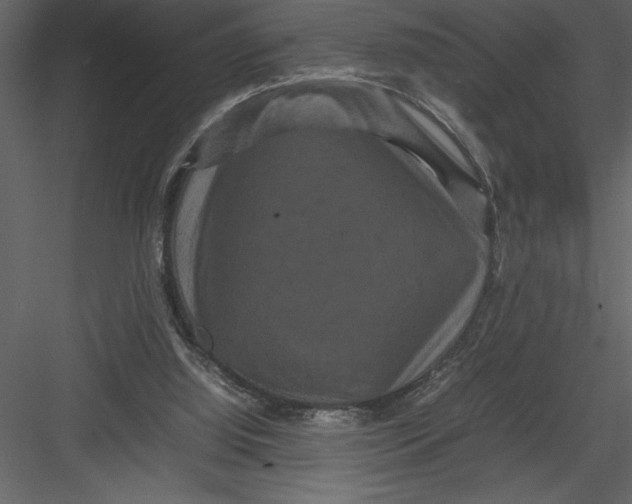 X0000082940060200702222257