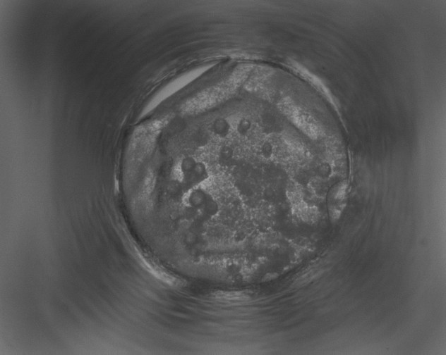 X0000082940061200702222257