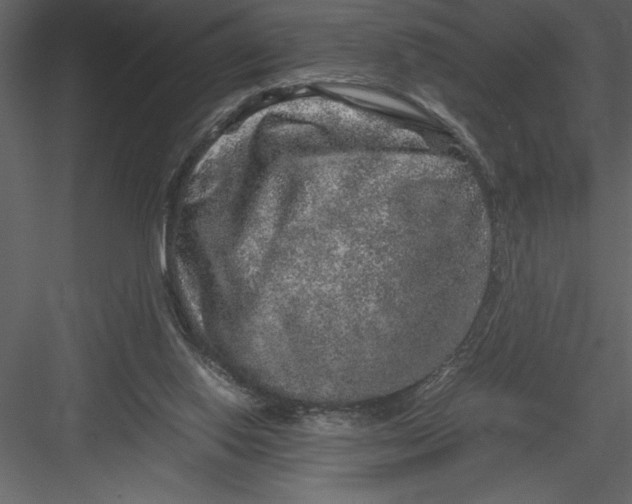 X0000082940062200702222257