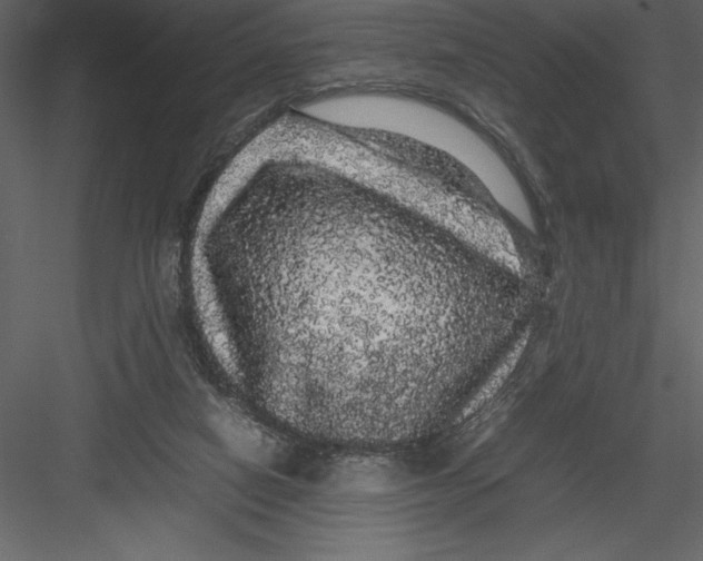 X0000082940066200702222258