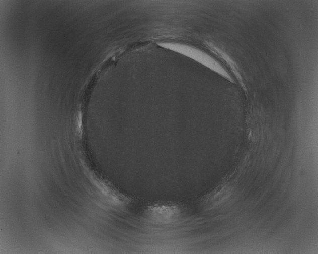 X0000082940067200702222258