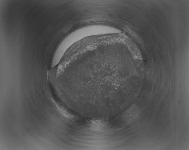 X0000082940070200702222258