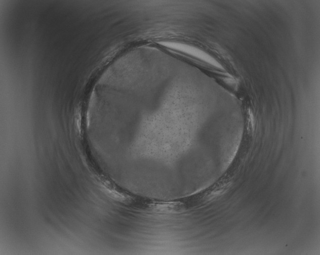 X0000082940072200702222258