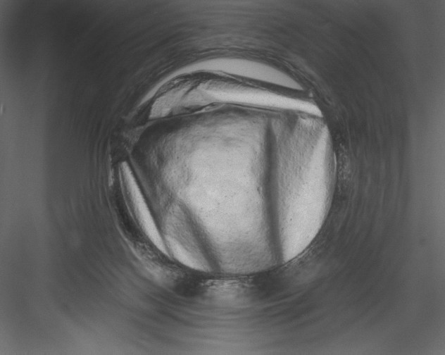 X0000082940074200702222258