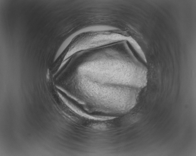 X0000082940075200702222258