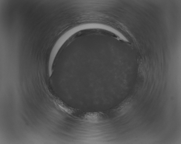 X0000082940076200702222258