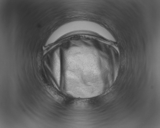 X0000082940078200702222258