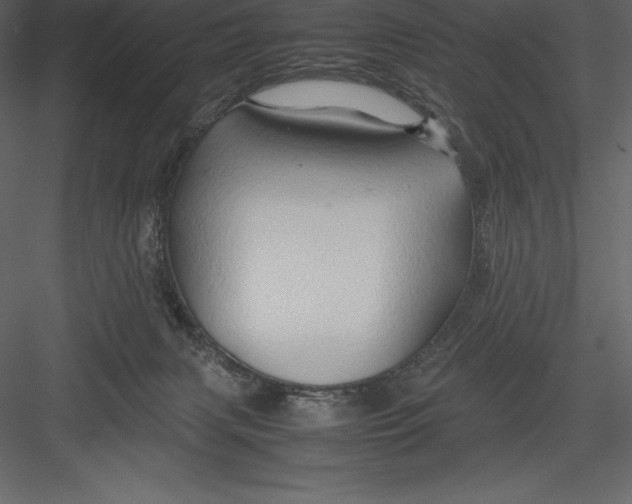 X0000082940079200702222258