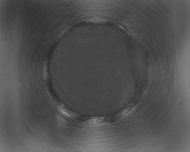 X0000082940080200702222258