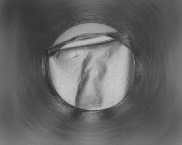 X0000082940082200702222258