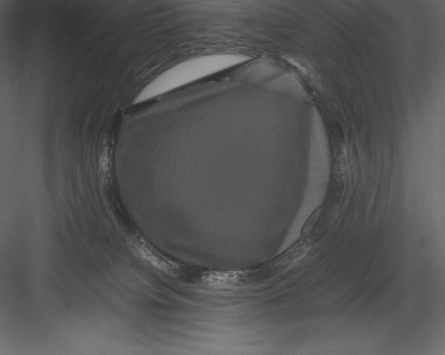 X0000082940084200702222258