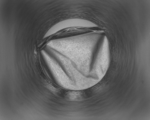 X0000082940085200702222258