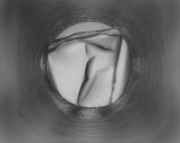 X0000082940086200702222258