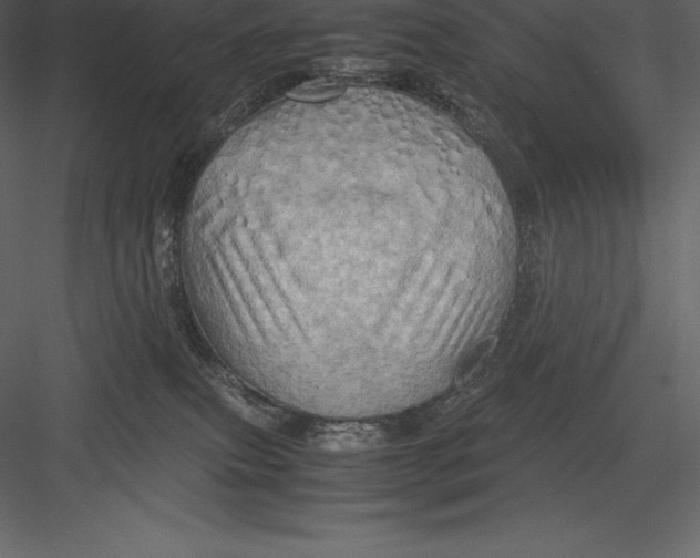 X0000082940087200702222258