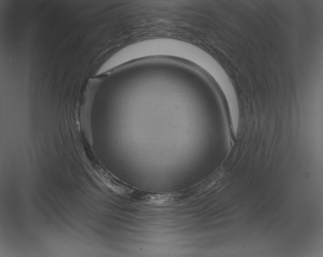 X0000082940088200702222258