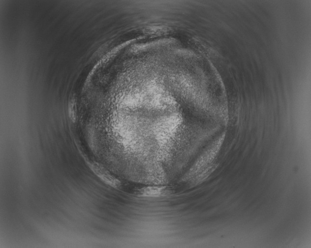 X0000082940090200702222258