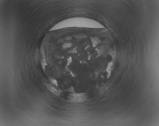 X0000082940093200702222258