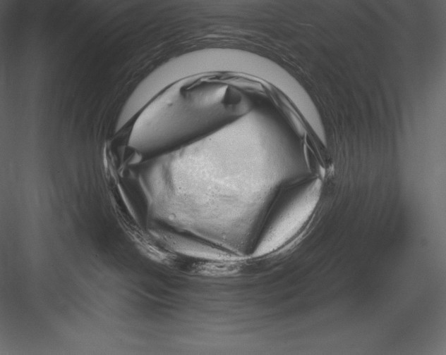 X0000082940094200702222258