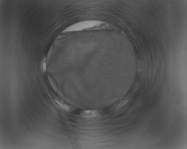 X0000082940095200702222258