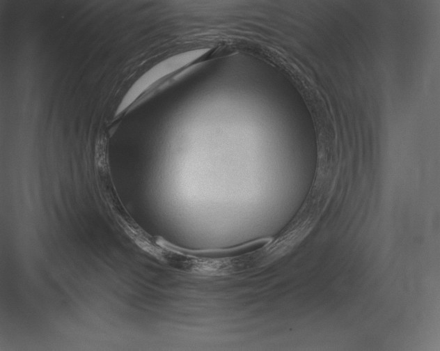 X0000082940096200702222258