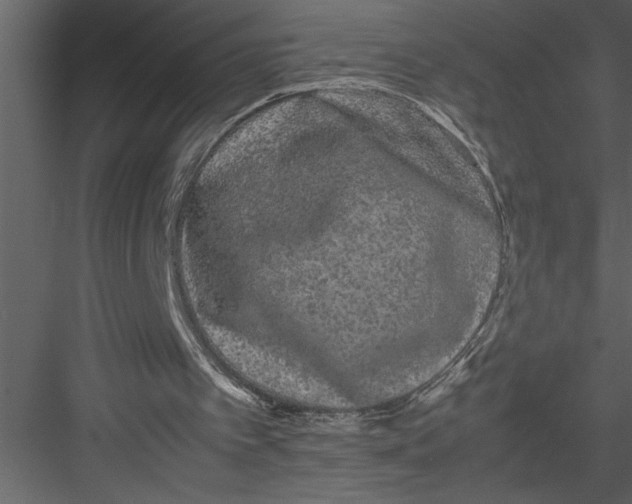 X0000082940097200702222257